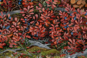 A close-up painting of dense groundcover vegetation. Thin, tangled grey branches are heavily covered in bright red and pink oval leaves, interspersed with small blue berries. The ground below features patches of green moss, pale grey branching lichen, and scattered brown fallen leaves